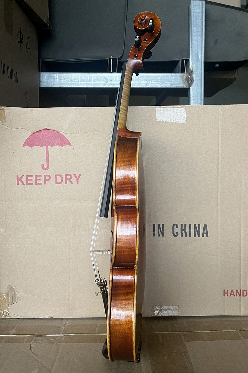 red brown violin HV10 (2)