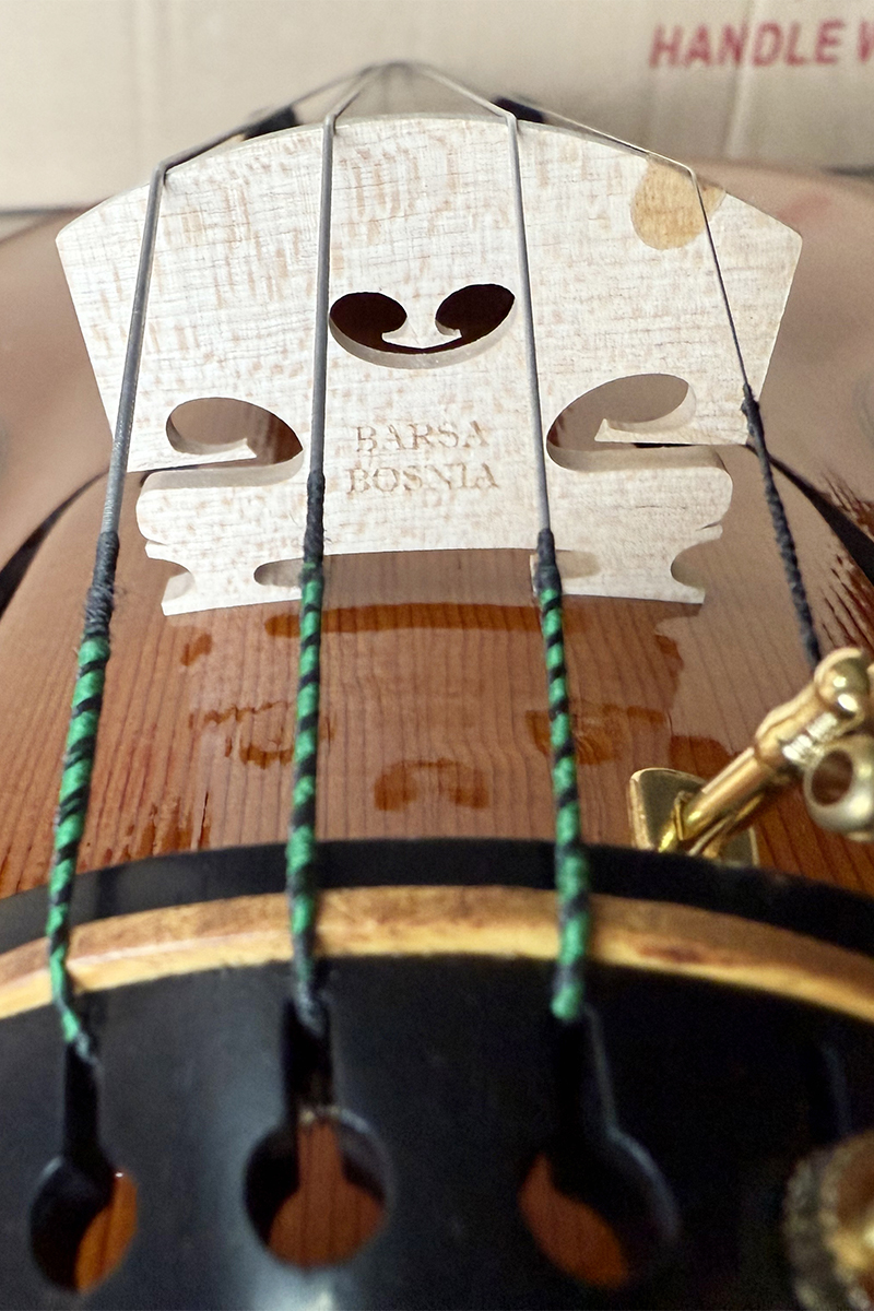 red brown violin HV10 (3)