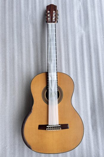 Raised Fretboard Smallman Guitar